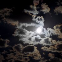 Лунная ночь :: Elena Vasiljeva