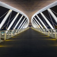 Мост ночью :: Александр Липовецкий