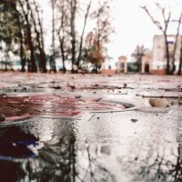 Осень, после дождя :: Вячеслав Баширов