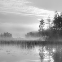 Утро на озере :: Андрей Жуков
