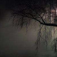 Ночь и туман :: Mike214 