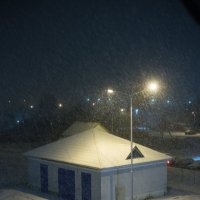 Первый снег :: Ирина Ширма