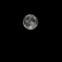 Лунный свет -самый удивительный свет в мире :: Тамара 