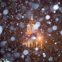 Зимняя сказка в огнях города :: Софи Sintetsu Сургучева