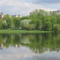 Головинские пруды в середине мая :: Дмитрий Никитин