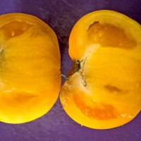 Оранжевый помидор :: Ольга Маркова