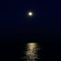 Лунная дорожка, блистает серебром... :: Dmitry Saltykov