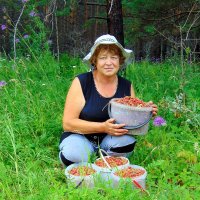 Возьмём мы в зиму запах лета. :: nadyasilyuk Вознюк