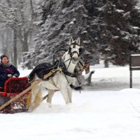 Ох вы, кони, мои кони, Ох, ты матушка - зима! :: Сергей Тарбеев