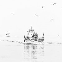 Рыбаки возвращаются утром :: Анастасия Богатова