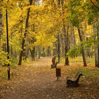 Осень в Нескучном саду :: Михаил Танин 