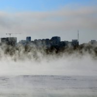 новосибирск :: дим димин