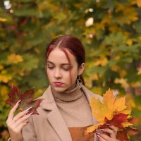 Осенние листья :: Юлия Крапивина