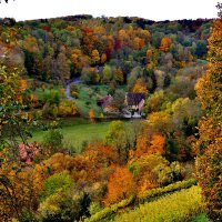 Золотая осень  в  долине  Таубер :: backareva.irina Бакарева