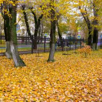 Заглянула осень в парк :: Александр Силинский