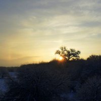 Солнце в зиме :: Виктор  /  Victor Соболенко  /  Sobolenko