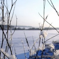Снежные перышки :: Валерий Нестеров