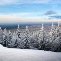 шунут :: Андрей Хлопин