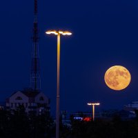 Лунариум :: Евгений Тарасов 