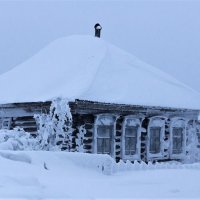 Зима в деревне :: Лариса С.