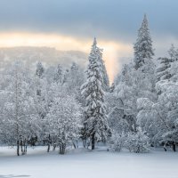 Луч света :: Вячеслав Васильевич Болякин