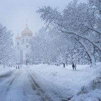 Зима в Краснодаре :: Нина Исупова 