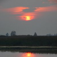 У озера закат. :: nadyasilyuk Вознюк