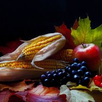 Натюрморт с кукурузой :: Елена Макарова