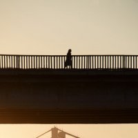 Три моста и одинокая душа. :: Светлана Артюшина