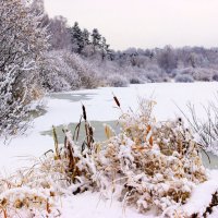 Пришла зима на озеро Шарташ... :: Наталья 