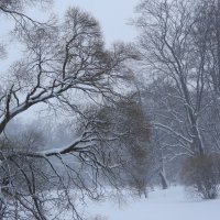 Кружится зима над Елагиным :: Алла Яшникова