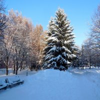 Самара зимой :: Надежда 