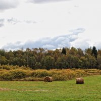 Осеннее поле :: Евгений Никифоров