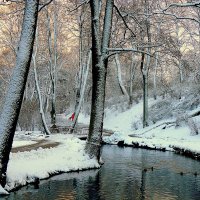 Зимний парковый пейзаж :: Любовь Изоткина