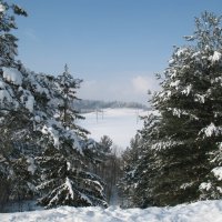Зима :: Irina 