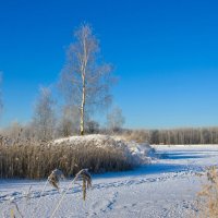 Озеро Торфянка :: Яков Реймер