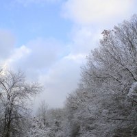 красота зимы :: Anastasia Shevkalenko