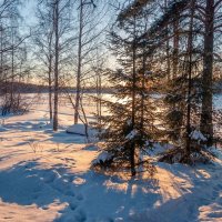 Зимний закат на озере N :: Елена Артюшина