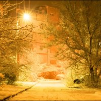 Ночной зимний пейзаж :: Андрей Черненко