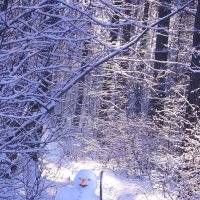 Вот так встреча! :: Евгения Десятова