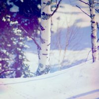 Лиловый снег :: Анастасия Степанова