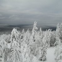 Тяжесть зимнего одеяния... :: Вадим Смальков 