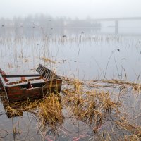 Про лодку, траву и мост :: Наталия Крыжановская