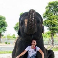 Девочка и слон :: AzharA 