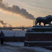 Гостеприимство Северной столицы :: Александр Барышников