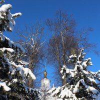 Зима в Куркино. :: Инна Пономарева