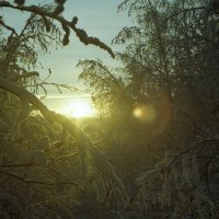 Закат над сибирской тайгой.. :: Антон Тетерин