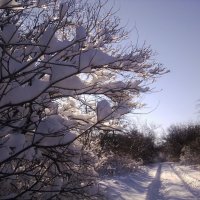 Зимняя дорога в деревню :: Елена 