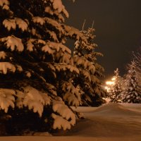 Вечер. Снег. Февраль... :: Юлия Михайлычева