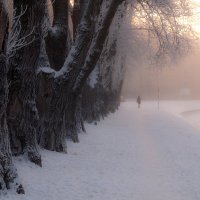 Морозное утро :: Григорий Кинёв